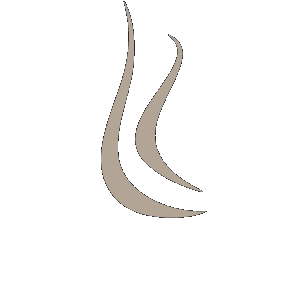 量科颜 LIANGKEYAN logo